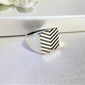 Çavuş Model Erkek Gümüş Yüzük MY102479