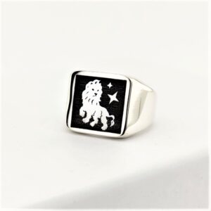 Yeni Burçlar Erkek Gümüş Yüzük MY102561